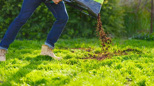8 Benefits of Using Peat Moss to Grow Grass Seeds