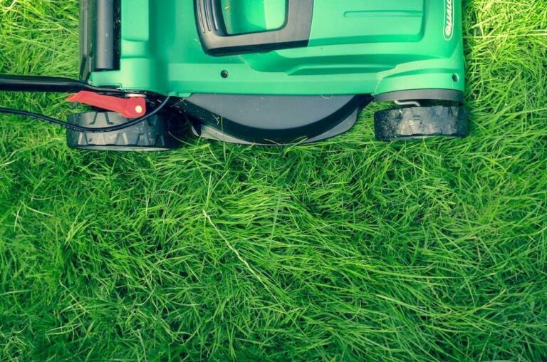 Best Riding Lawn Mowers for Your Property