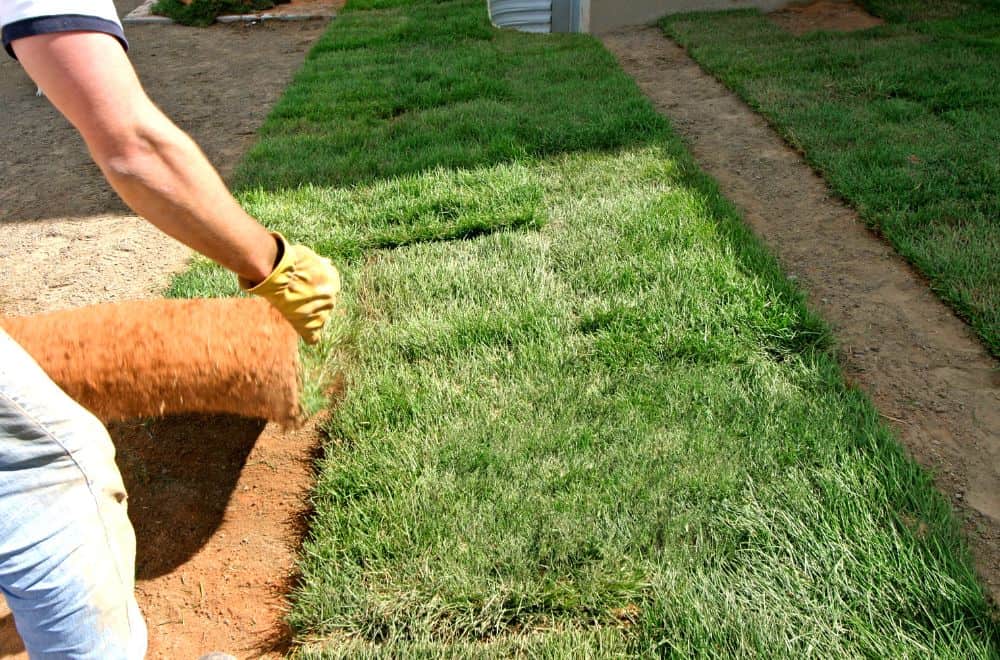 Pallet of Sod Weight and Coverage |Per Roll and Pallet